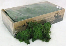 Load image into Gallery viewer, MOSS BOWL